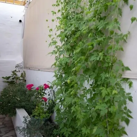 Hlia's House Near The Sea Vilă Kámbos